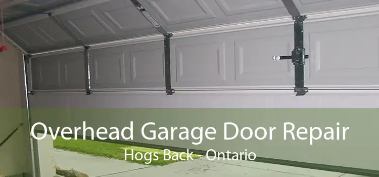 Overhead Garage Door Repair Hogs Back - Ontario