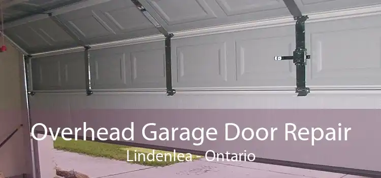 Overhead Garage Door Repair Lindenlea - Ontario