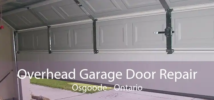 Overhead Garage Door Repair Osgoode - Ontario