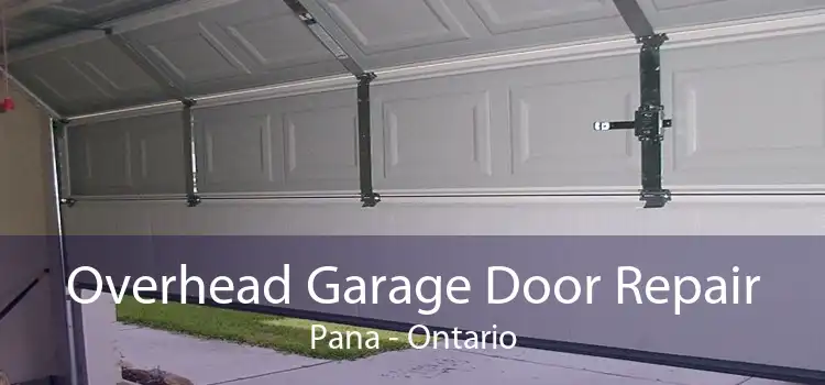 Overhead Garage Door Repair Pana - Ontario