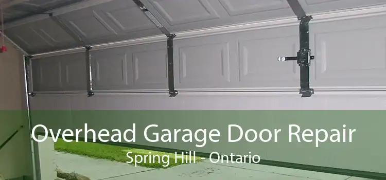 Overhead Garage Door Repair Spring Hill - Ontario