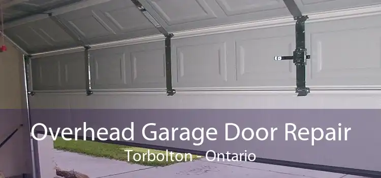 Overhead Garage Door Repair Torbolton - Ontario