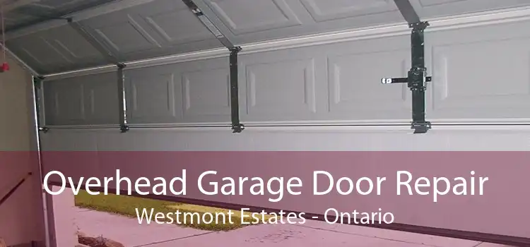 Overhead Garage Door Repair Westmont Estates - Ontario