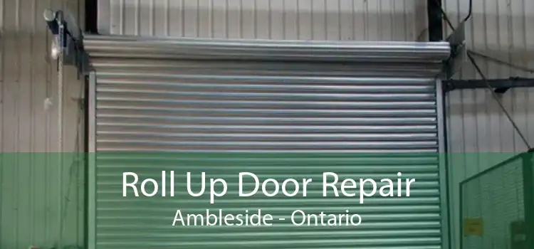 Roll Up Door Repair Ambleside - Ontario