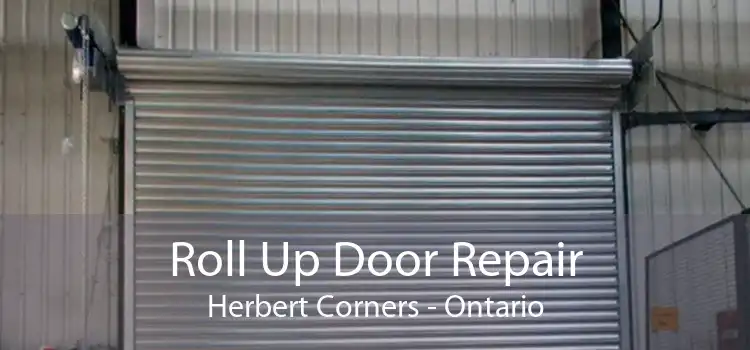Roll Up Door Repair Herbert Corners - Ontario