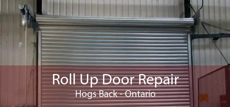 Roll Up Door Repair Hogs Back - Ontario