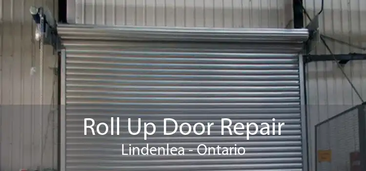 Roll Up Door Repair Lindenlea - Ontario