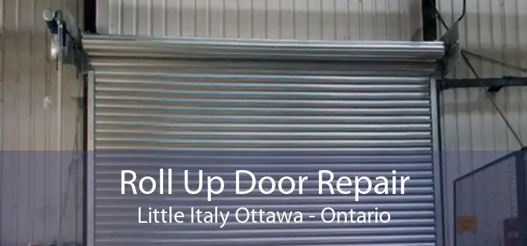 Roll Up Door Repair Little Italy Ottawa - Ontario