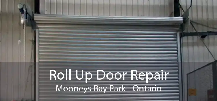 Roll Up Door Repair Mooneys Bay Park - Ontario