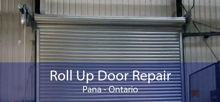 Roll Up Door Repair Pana - Ontario