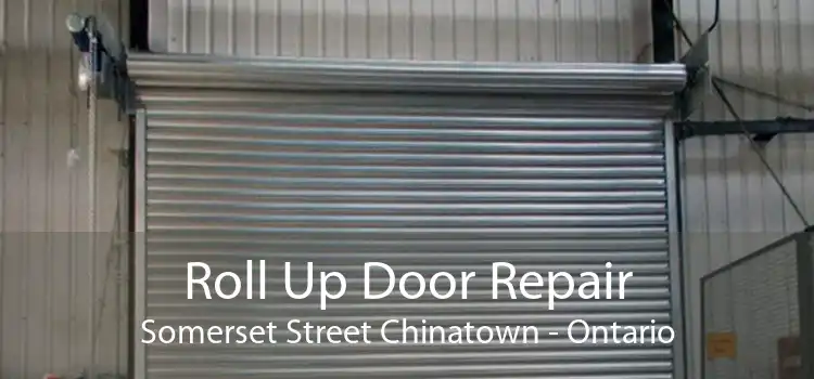 Roll Up Door Repair Somerset Street Chinatown - Ontario
