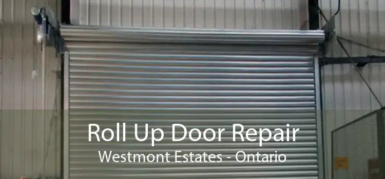 Roll Up Door Repair Westmont Estates - Ontario