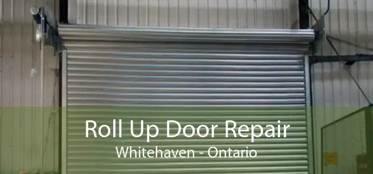 Roll Up Door Repair Whitehaven - Ontario