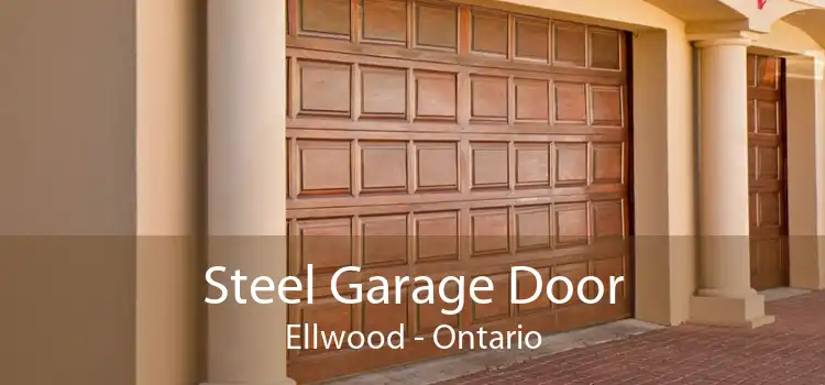 Steel Garage Door Ellwood - Ontario