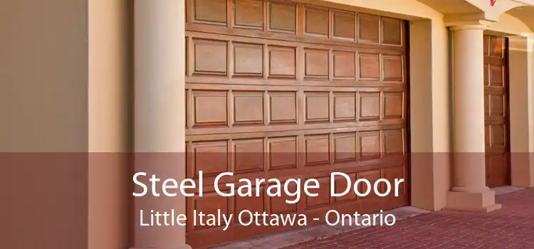 Steel Garage Door Little Italy Ottawa - Ontario