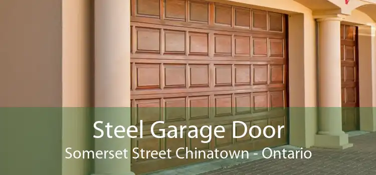 Steel Garage Door Somerset Street Chinatown - Ontario